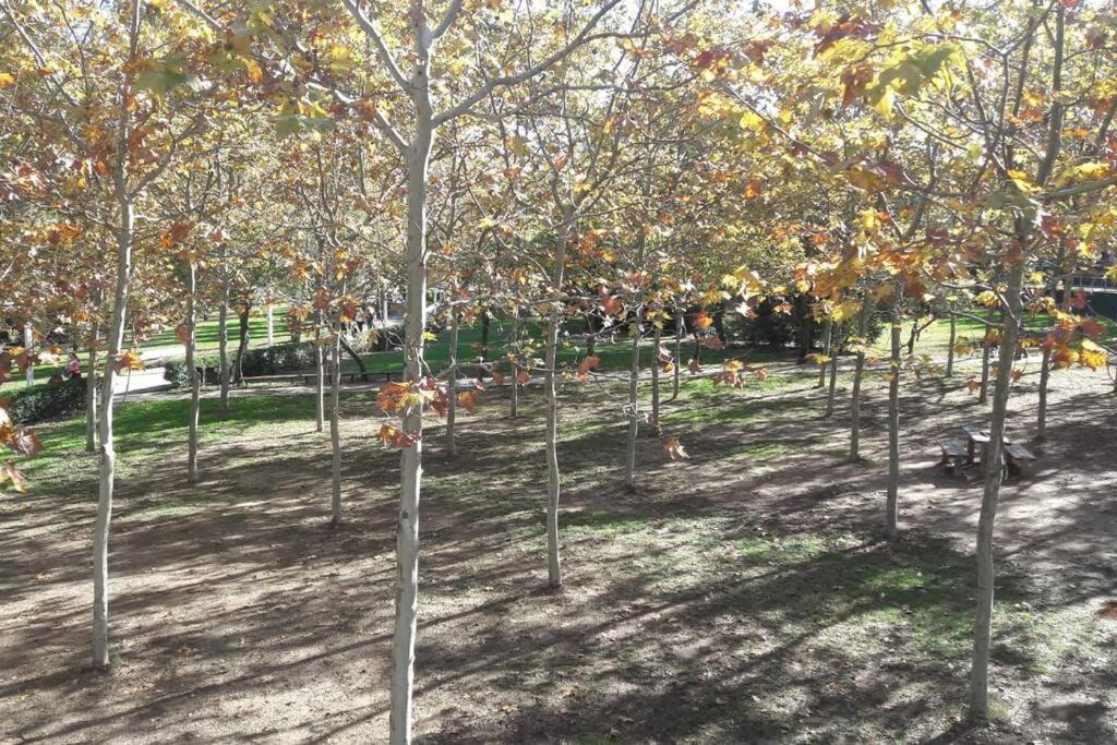 Photo of Others in Sant Cugat del Valles