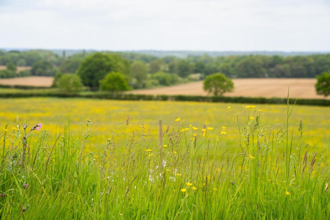 Photo of Others in Bletchingley