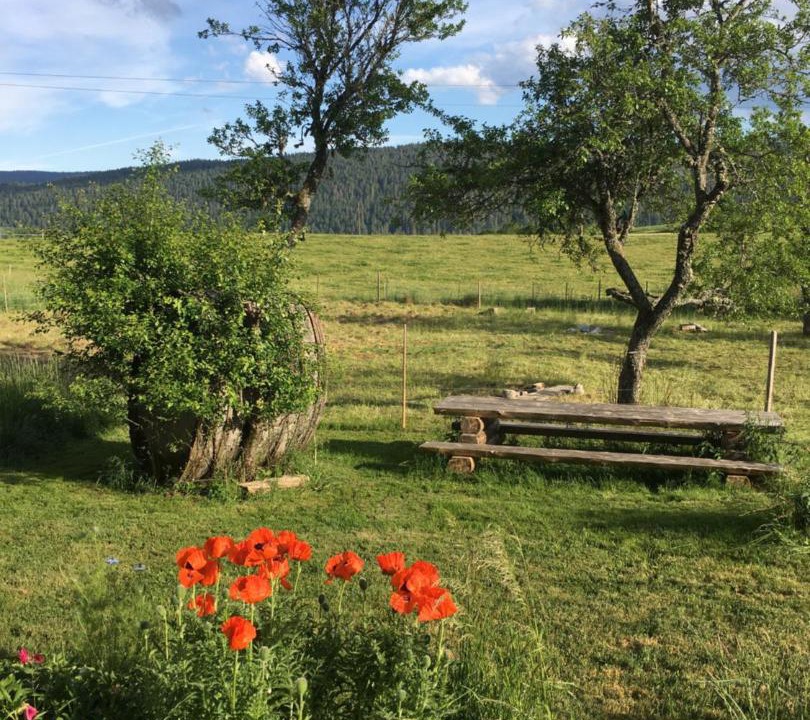 Photo of Others in Val-de-Travers
