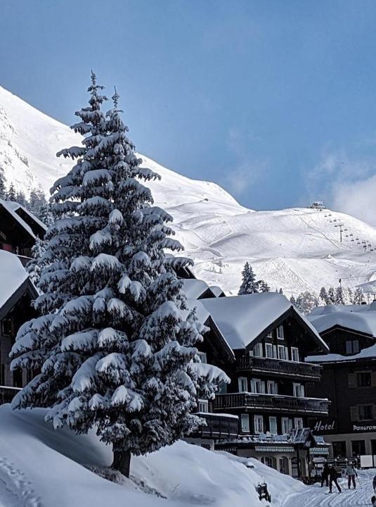 Photo of Others in Bettmeralp