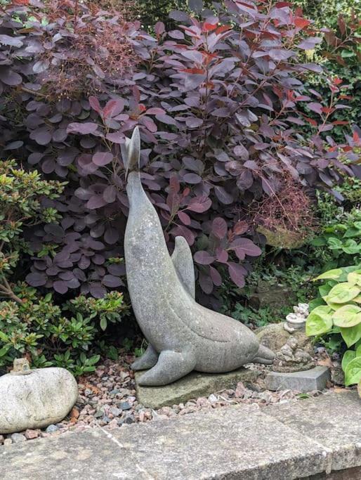 Photo of Others in Strabane