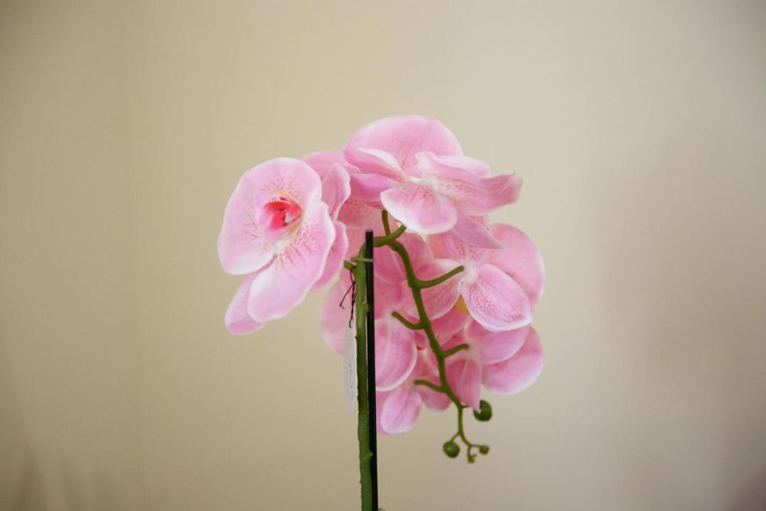 Photo of Others in Norwich