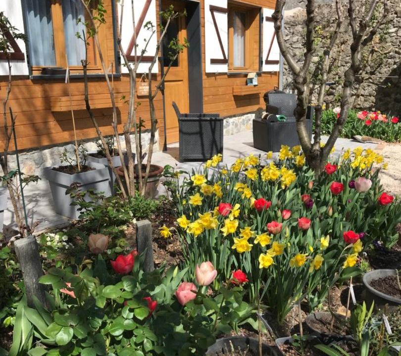 Photo of Others in Bagneres-de-Bigorre