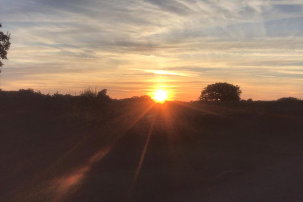 Photo of Others in Saxmundham