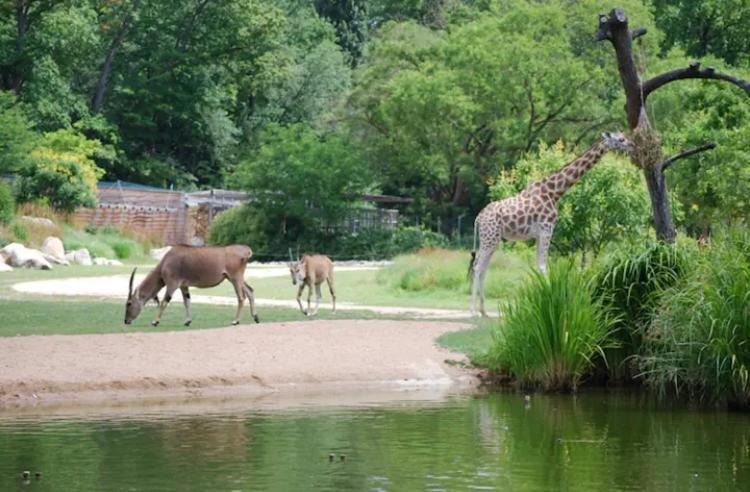 Photo of Others in 6th Arrondissement