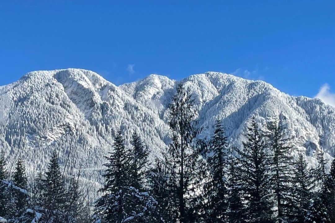 Photo of Others in May Creek