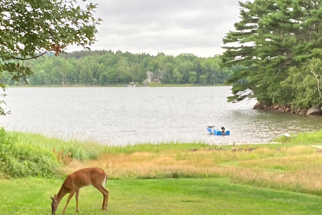 Photo of Others in Little Harbour
