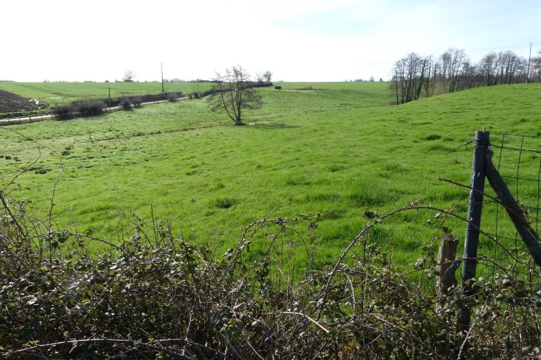 Photo of Others in Vic-de-Chassenay
