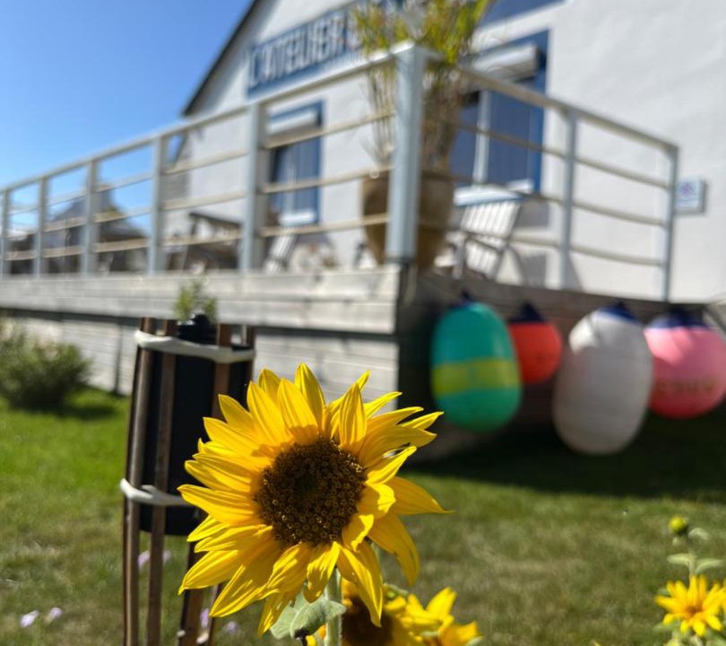 Photo of Others in Ushant