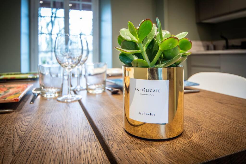 Photo of Others in Dracy-le-Fort