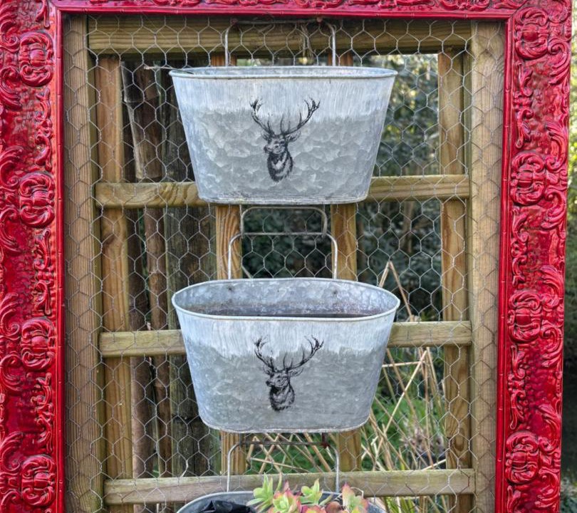 Photo of Others in Coulon