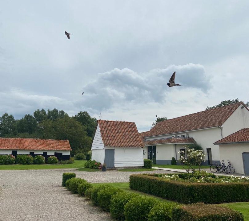 Photo of Others in Gouy-Saint-Andre
