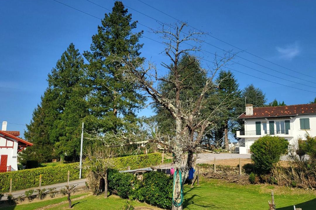 Photo of Others in Saint-Palais