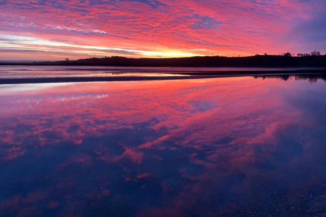 Photo of Others in Pukehina