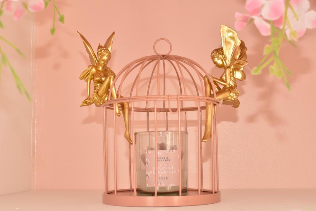 Photo of Others in Montfort-sur-Meu