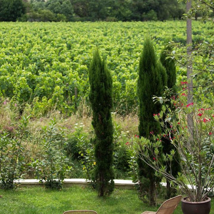 Photo of Others in Montagne