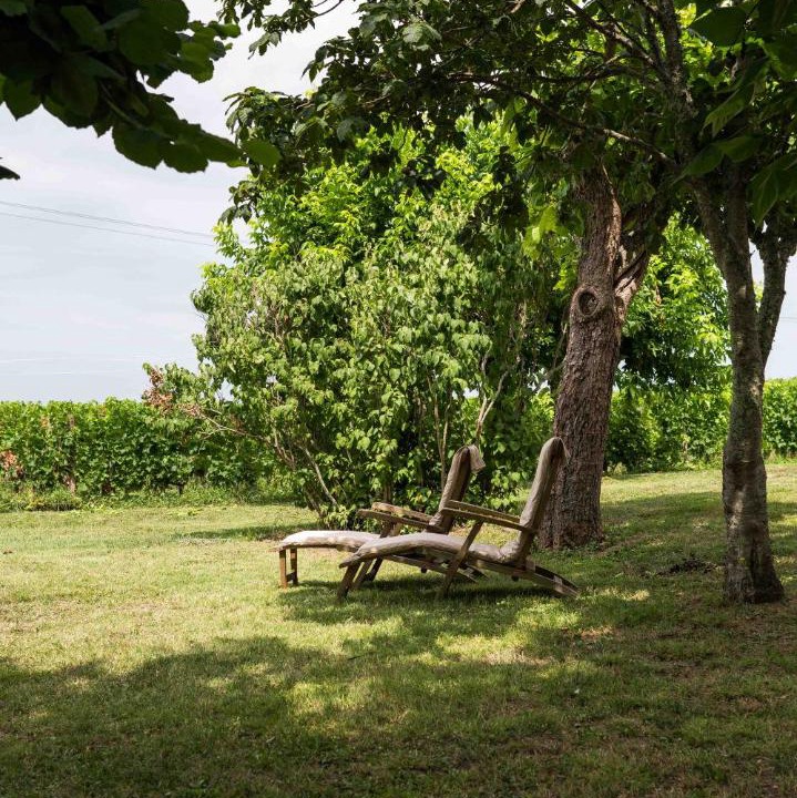 Photo of Others in Montagne