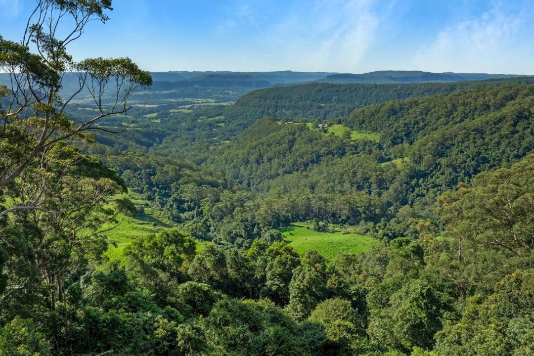 Photo of Outdoor in Beaumont