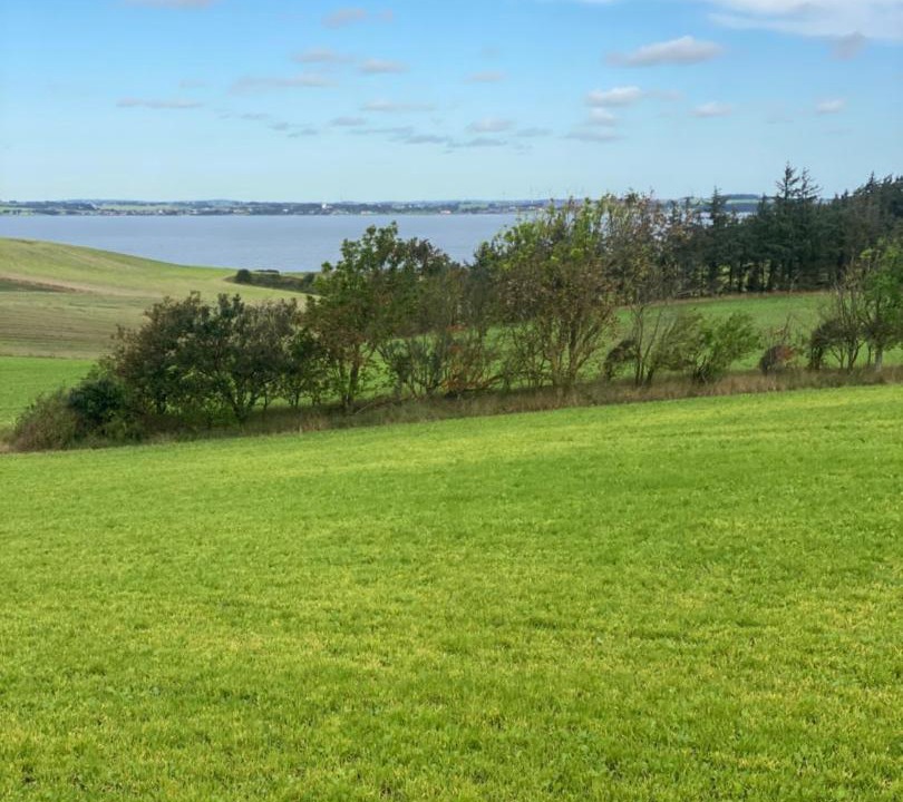 Photo of Outdoor in Sejerslev