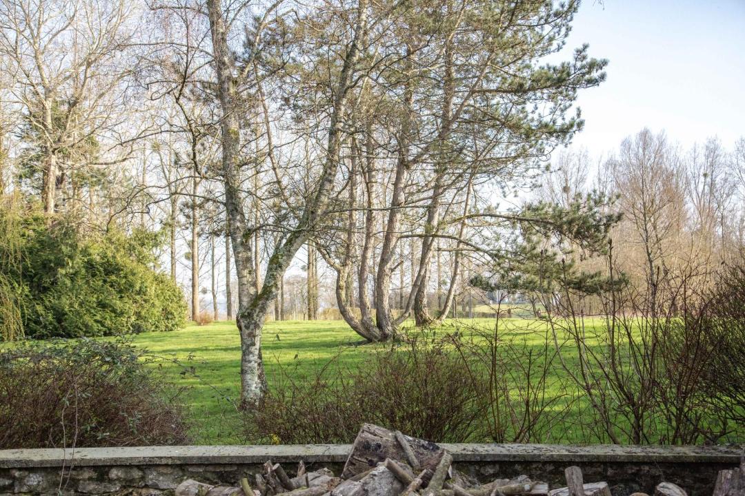 Photo of Others in Samer