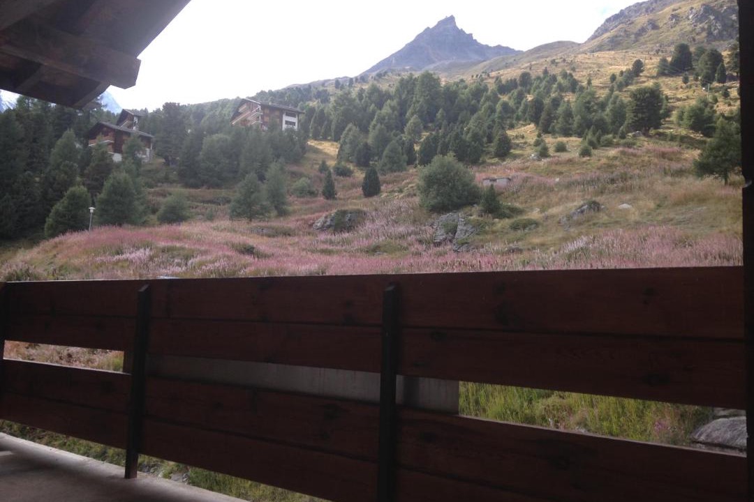 Photo of Others in Arolla