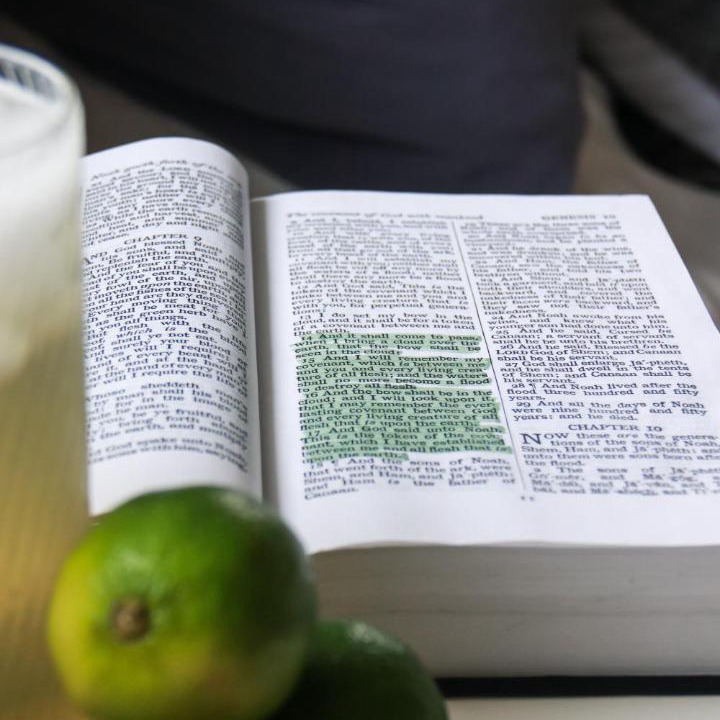 Photo of Others in Williamstown