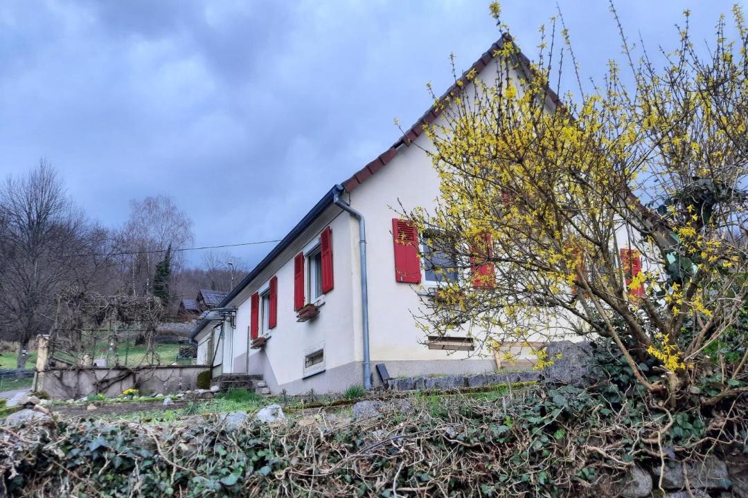 Photo of Others in Fellering