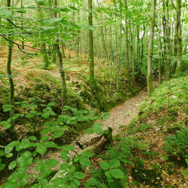 Photo of Others in La Lande-de-Goult