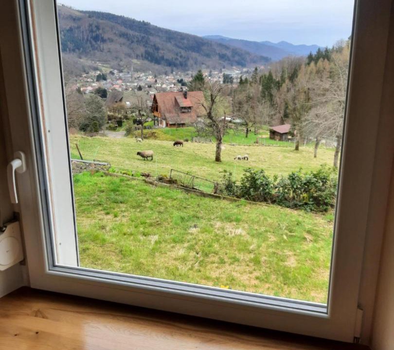 Photo of Others in Fellering