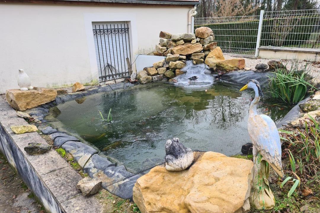 Photo of Others in Bourg-et-Comin