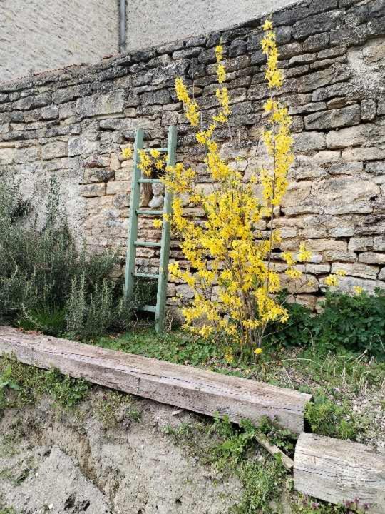 Photo of Others in Is-sur-Tille