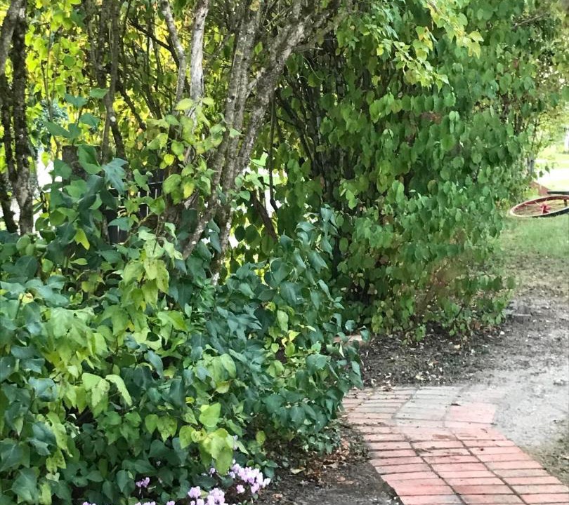 Photo of Others in La Chapelle-dʼAngillon