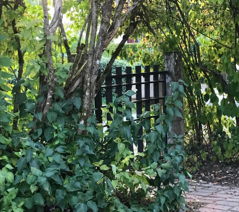 Photo of Others in La Chapelle-dʼAngillon