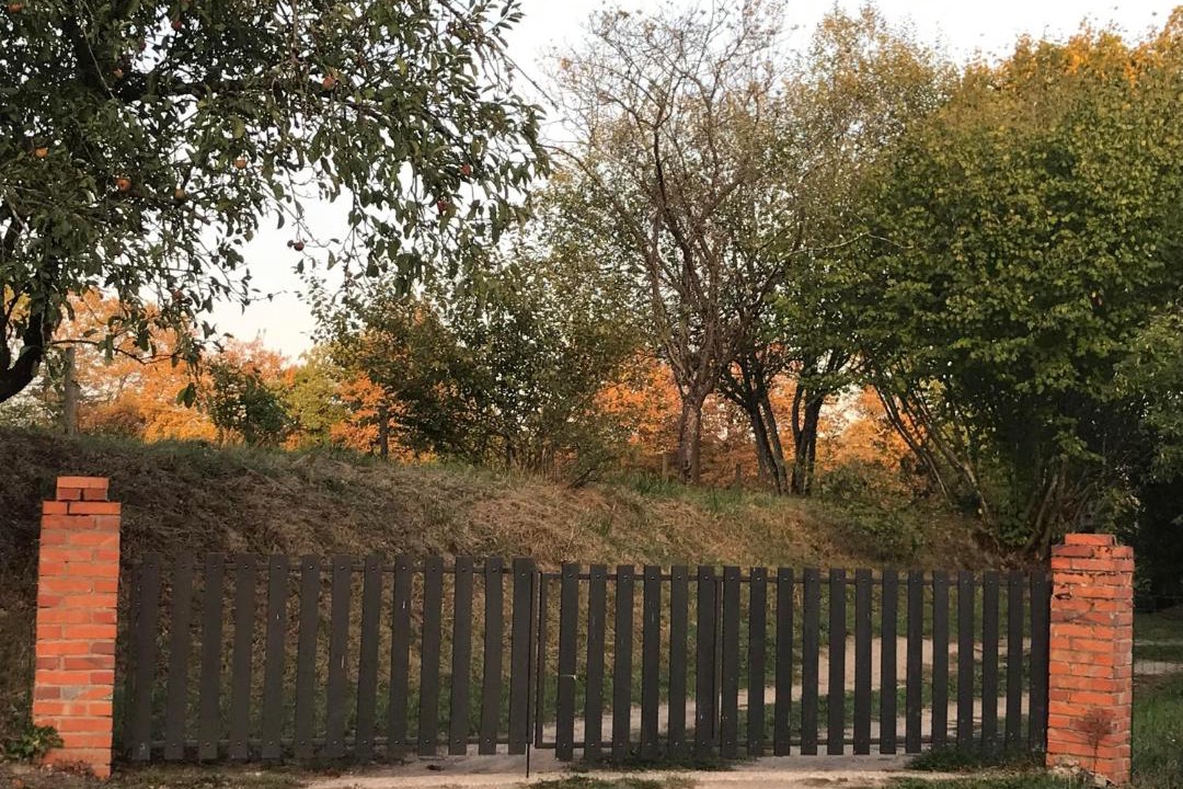 Photo of Others in La Chapelle-dʼAngillon
