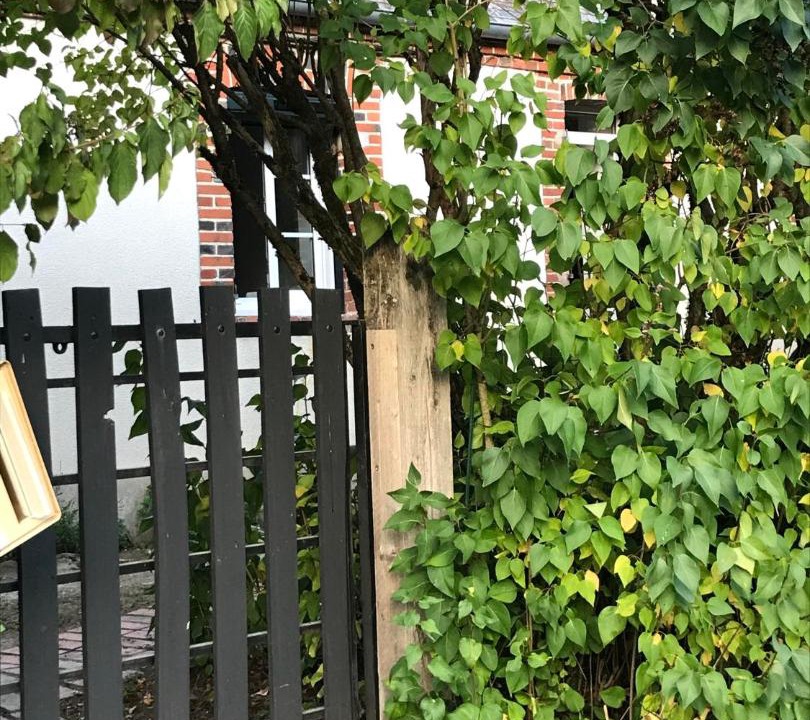 Photo of Buildings in La Chapelle-dʼAngillon