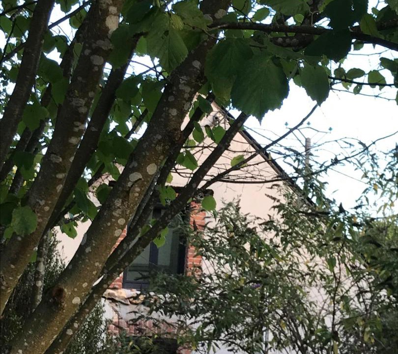 Photo of Buildings in La Chapelle-dʼAngillon