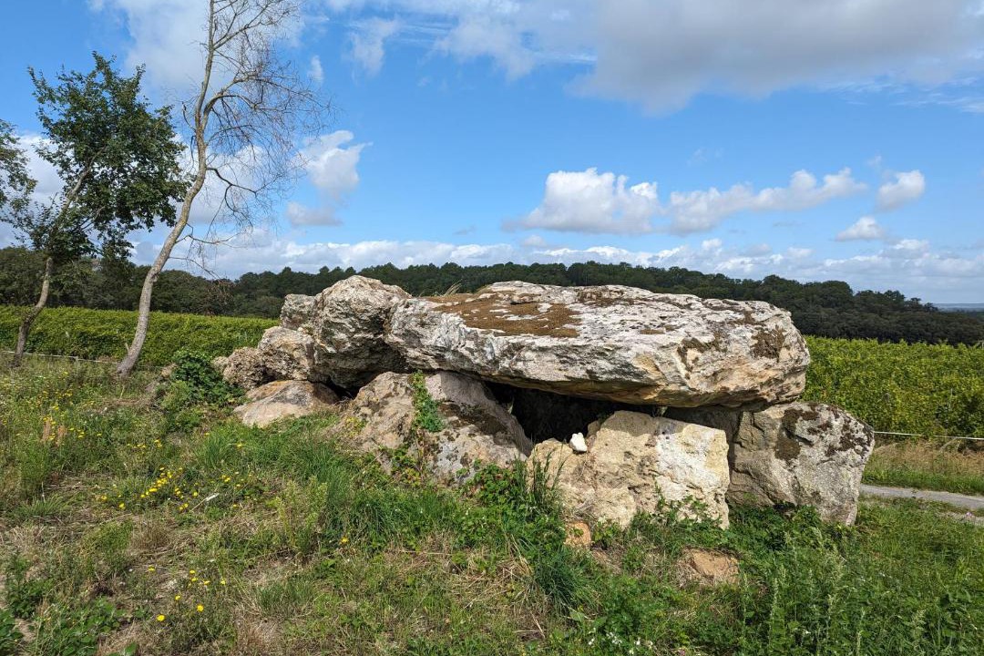 Photo of Others in Thizay