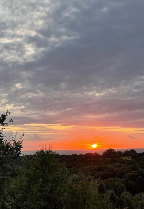 Photo of Outdoor in San-Giuliano