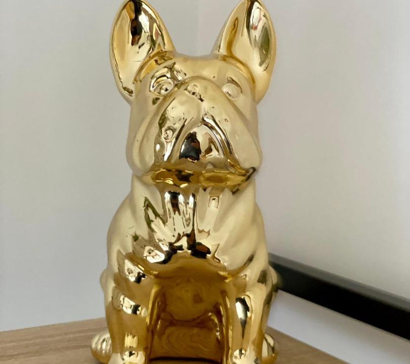 Photo of Bedroom in Universite