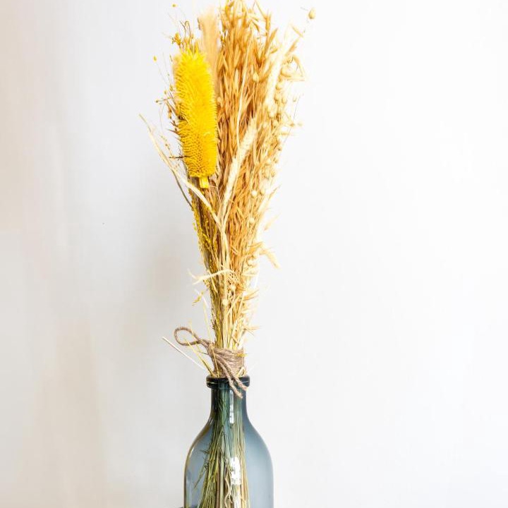 Photo of Others in Les Chutes Lavie