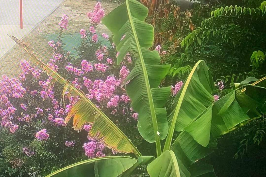 Photo of Others in Villenave-d'Ornon