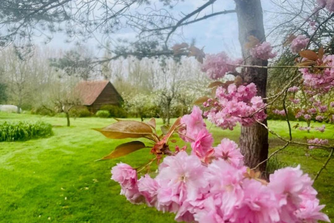 Photo of Others in Samer