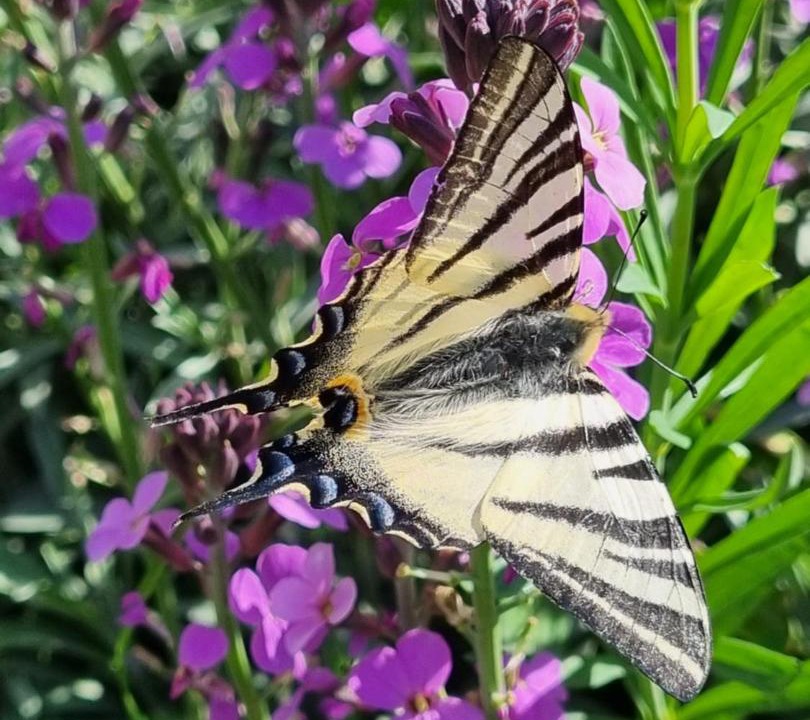 Photo of Others in Le Pizou