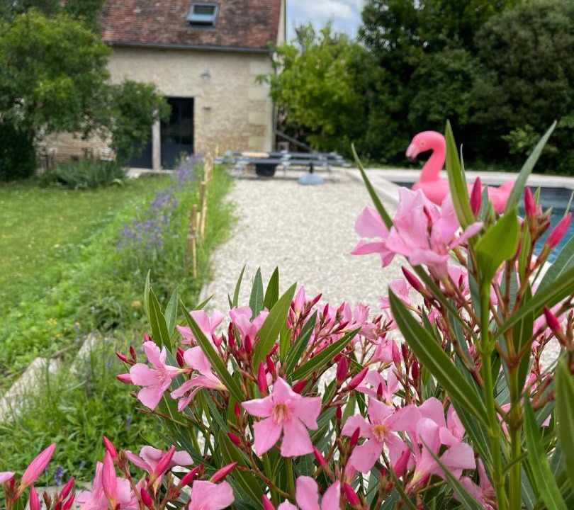 Photo of Others in Saint-Georges-sur-Cher