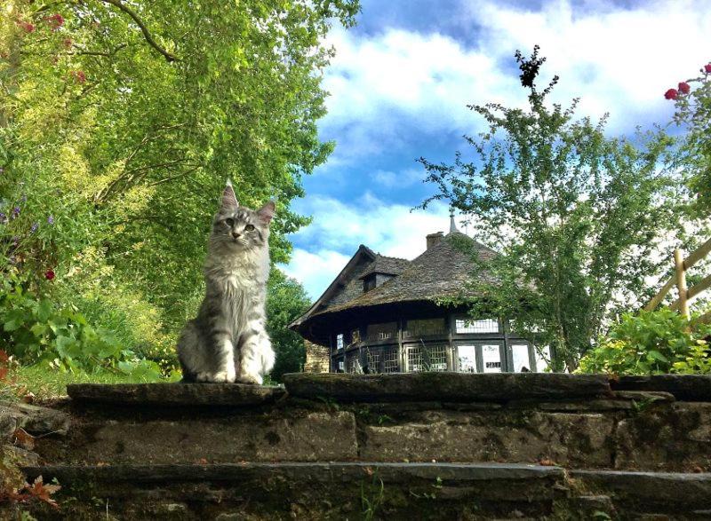 Photo of Others in Rochefort-en-Terre