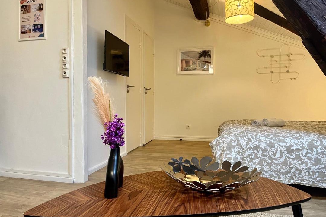 Photo of Others in Brotteaux