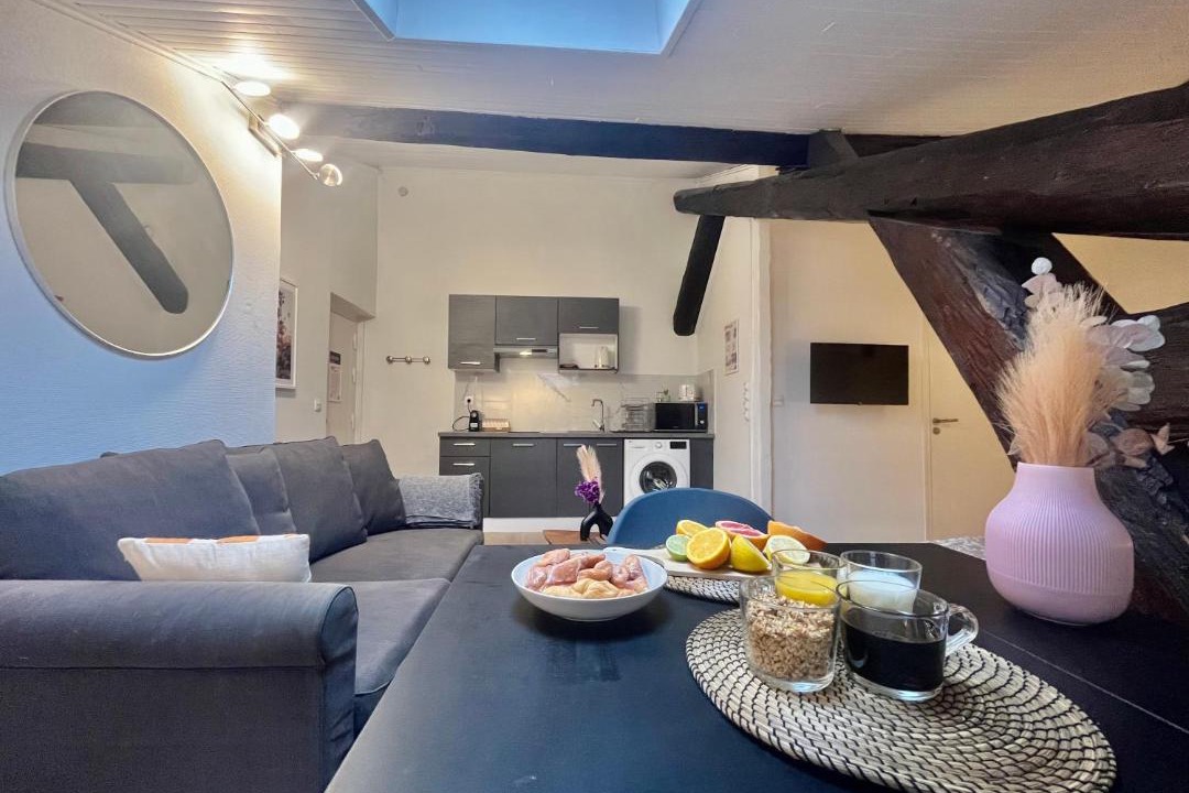 Photo of Livingroom in Brotteaux