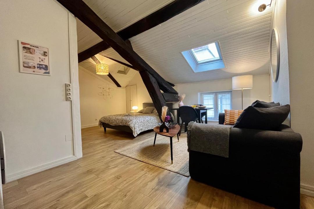 Photo of Livingroom in Brotteaux