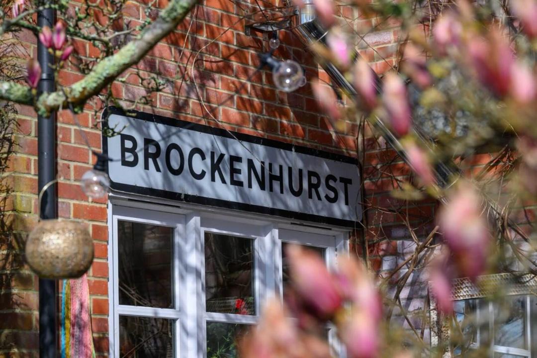 Photo of Others in New Forest District