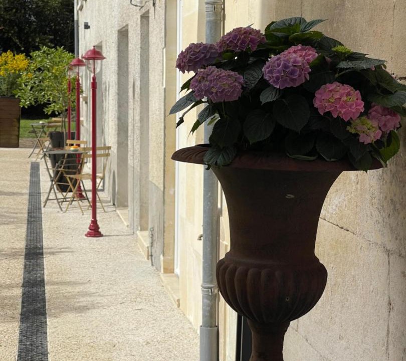 Photo of Others in Cognac